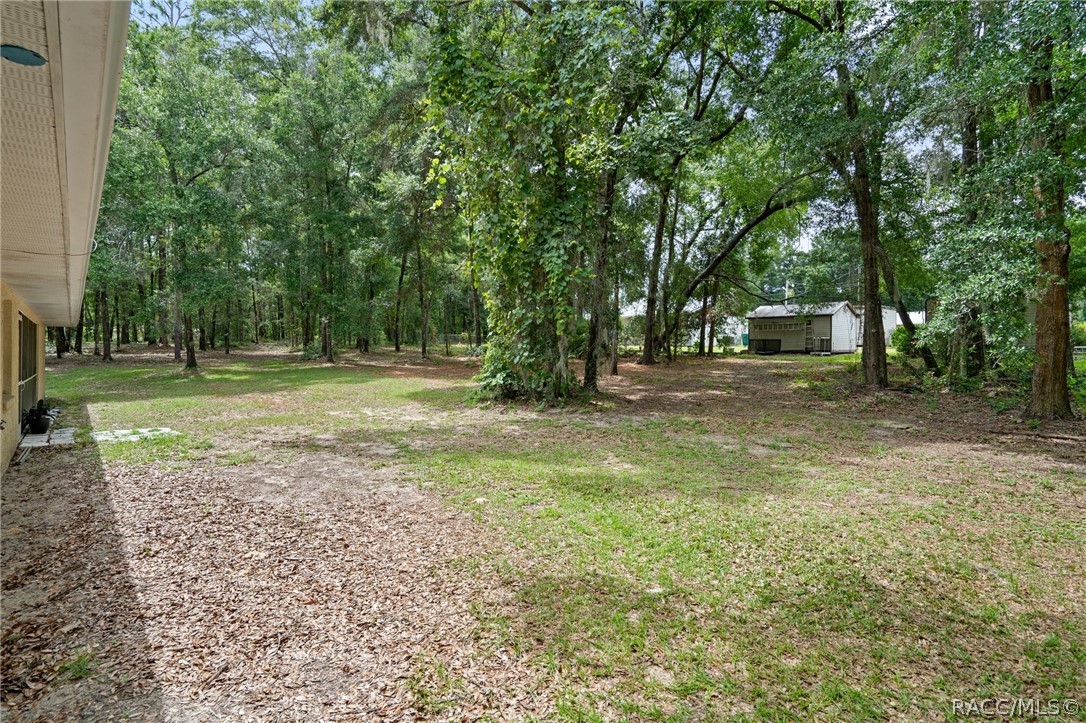 6361 E Anna Jo Drive, Inverness, Florida image 42