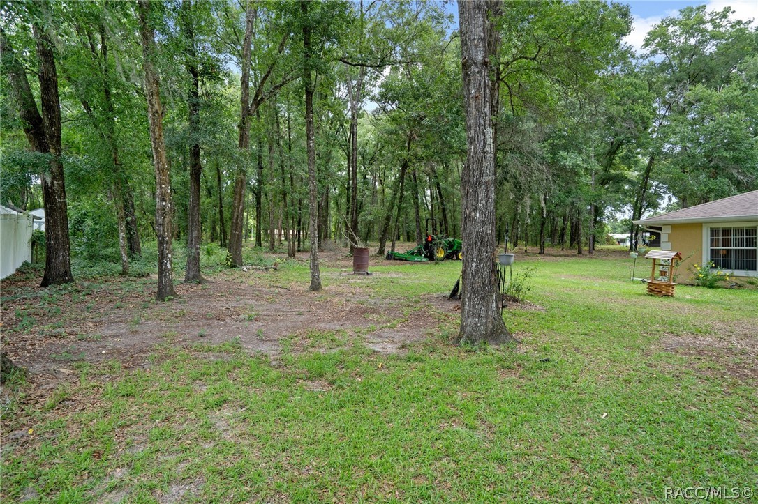 6361 E Anna Jo Drive, Inverness, Florida image 38