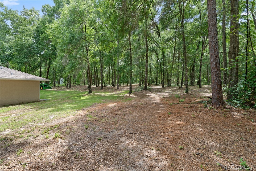 6361 E Anna Jo Drive, Inverness, Florida image 43