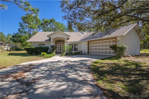 4215 N Pink Poppy Drive Beverly Hills FL 34465