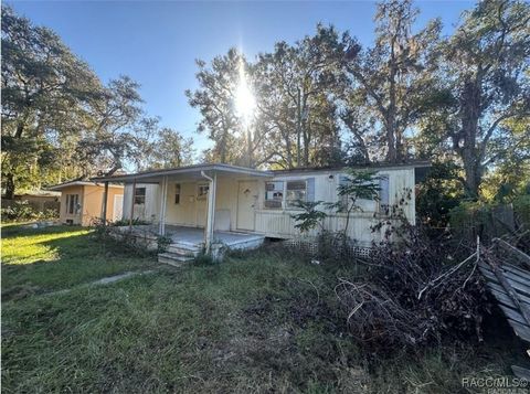 8832 E Freeman Court Floral City FL 34436