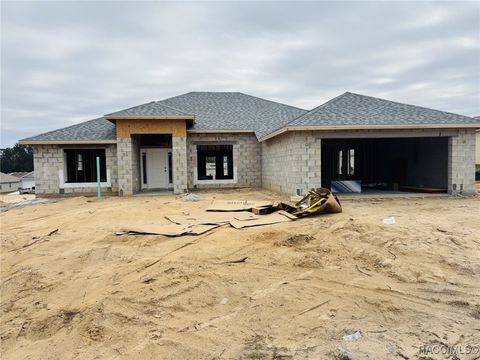 A home in Citrus Springs