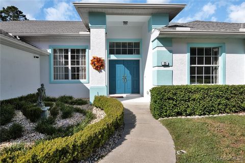 A home in Homosassa