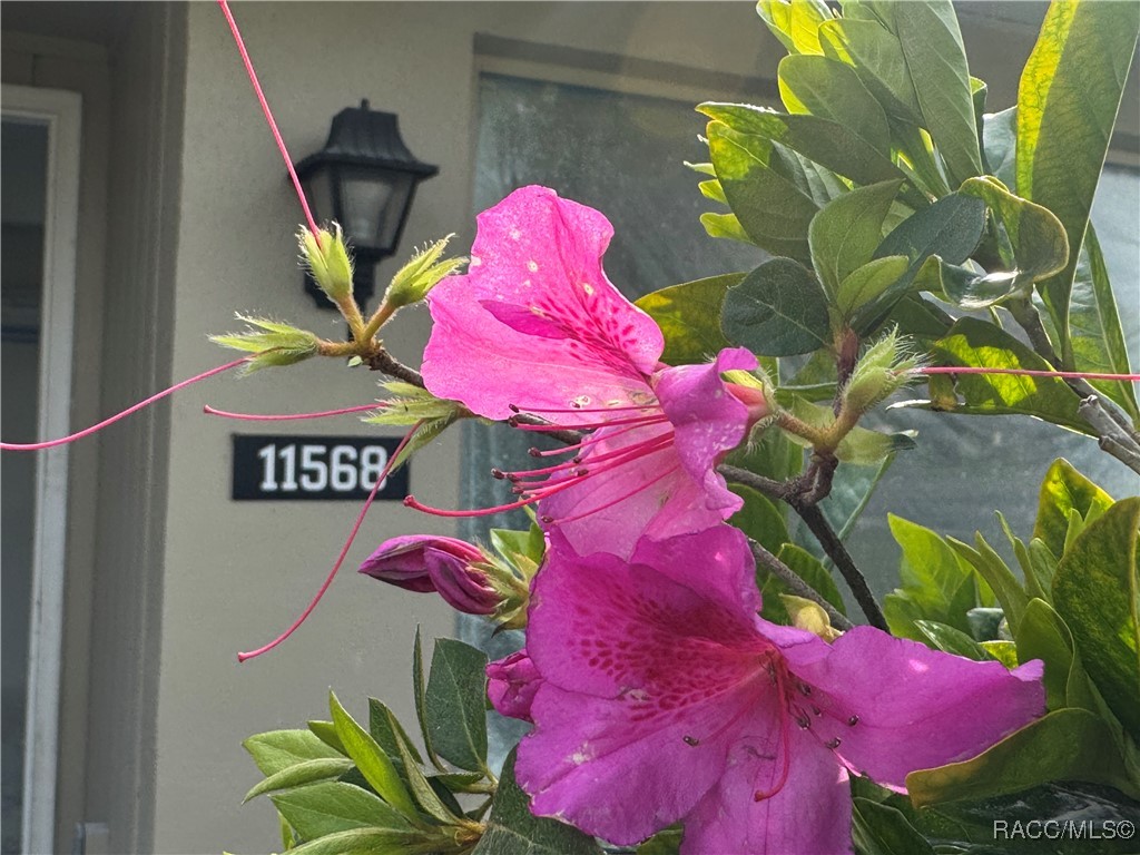 11568 W Bayshore Drive #17, Crystal River, Florida image 2