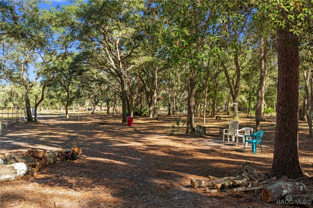 6301 E Turner Camp Road, Inverness, Florida image 8