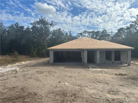 1550 W St Elizabeth Place Citrus Springs FL 34433