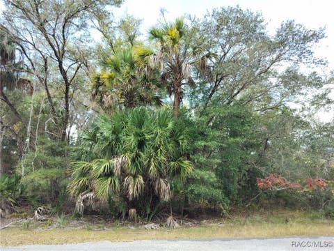 Vacant Land For Sale - 9999 N Snowball Point<br/> Citrus County, Crystal River, FL 34428