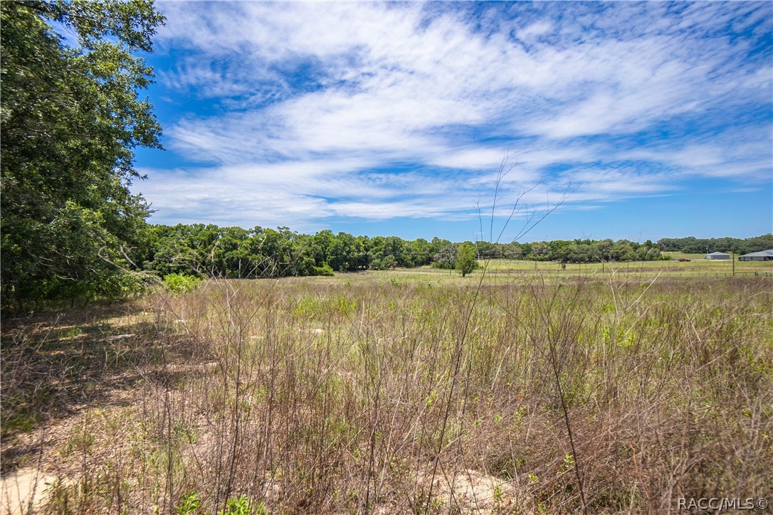 13347 S Old Jones Road, Floral City, Florida image 18