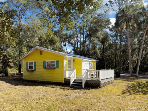 Homes For Sale - 21 52nd Street<br/> Levy County, Yankeetown, FL 34498