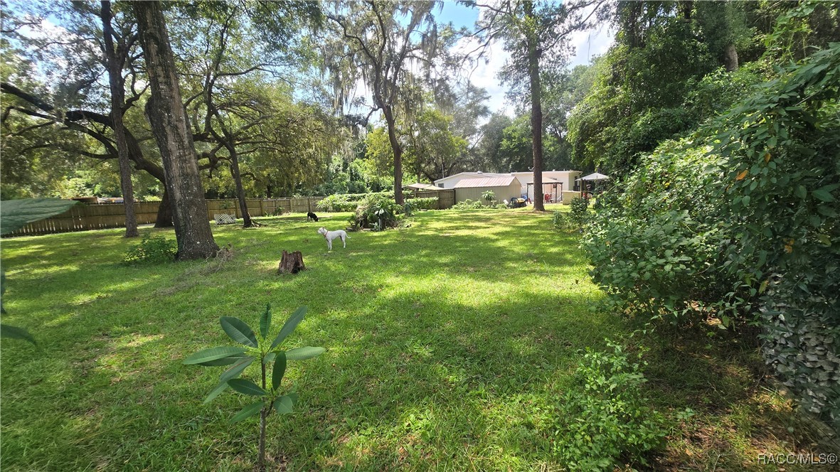 8009 E Peacock Lane, Floral City, Florida image 21