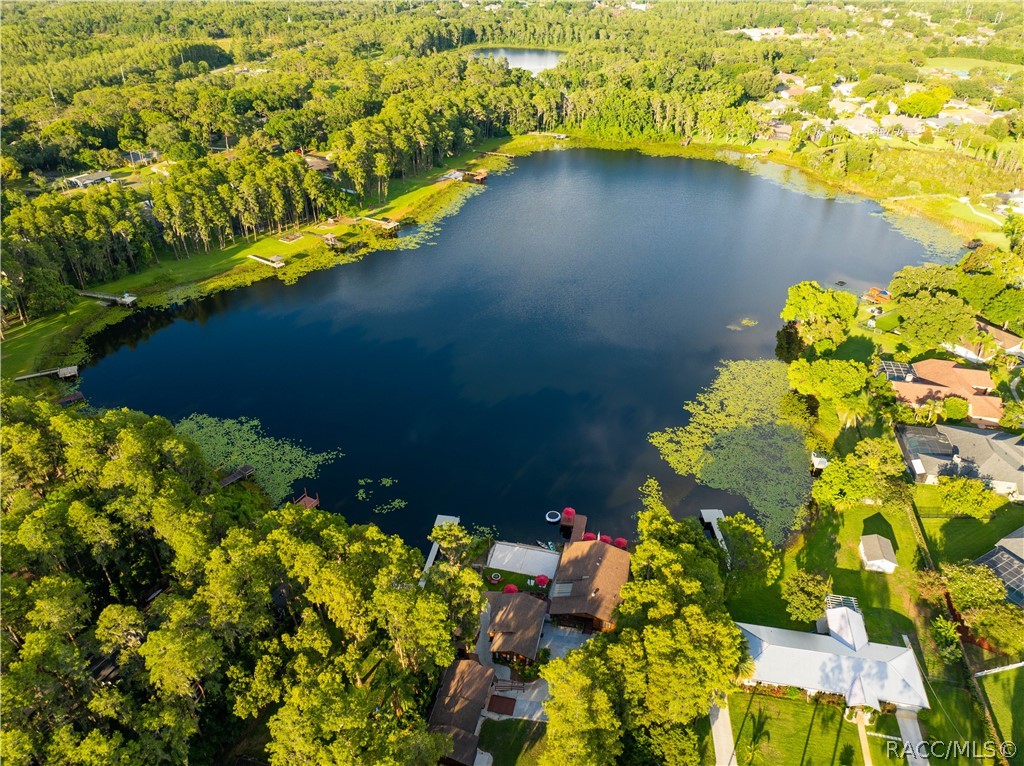 17501 Brown Road, Odessa, Florida image 12