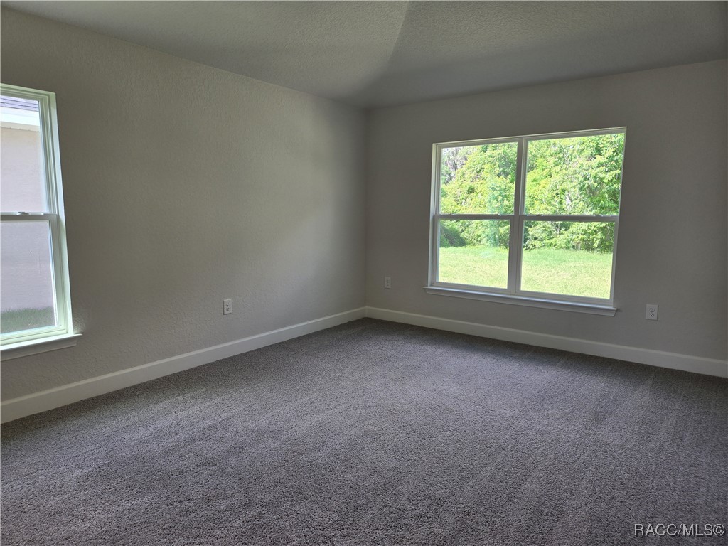 1028 Ibis Circle, Inverness, Florida image 10