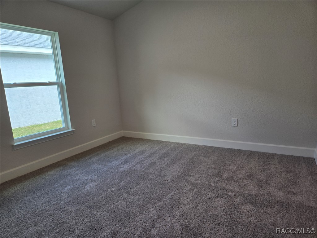1028 Ibis Circle, Inverness, Florida image 20