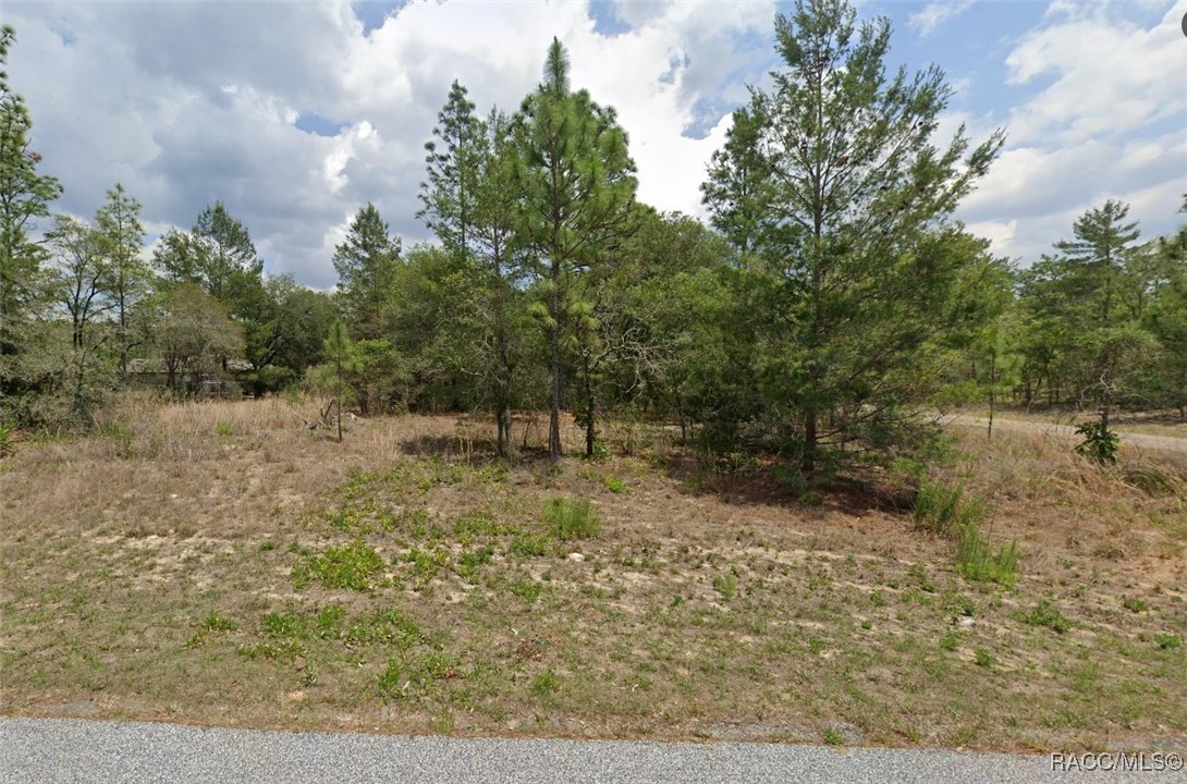 3861 W Malby Lane, Dunnellon, Florida image 3