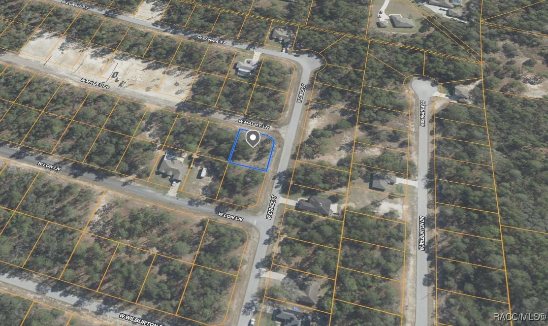 3861 W Malby Lane, Dunnellon, Florida image 1