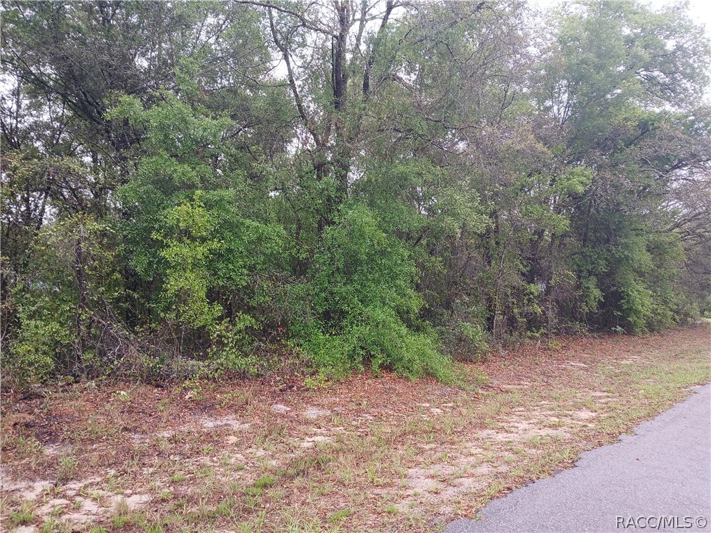 7851 N Vince Drive - Photo 3