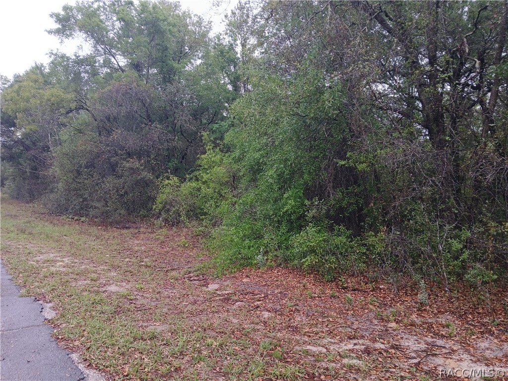 7851 N Vince Drive - Photo 2