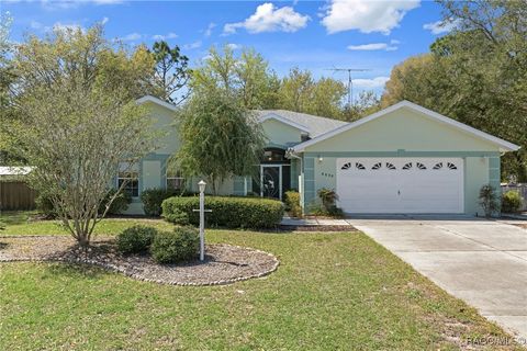 8890 N Amboy Drive Citrus Springs FL 34433