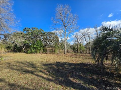 Vacant Land For Sale - 6335 S Tropicana Avenue<br/> Lecanto, FL 34461