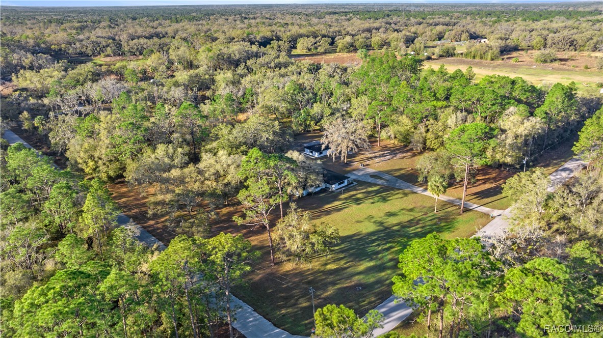 7890 W Tolle Lane, Dunnellon, Florida image 48