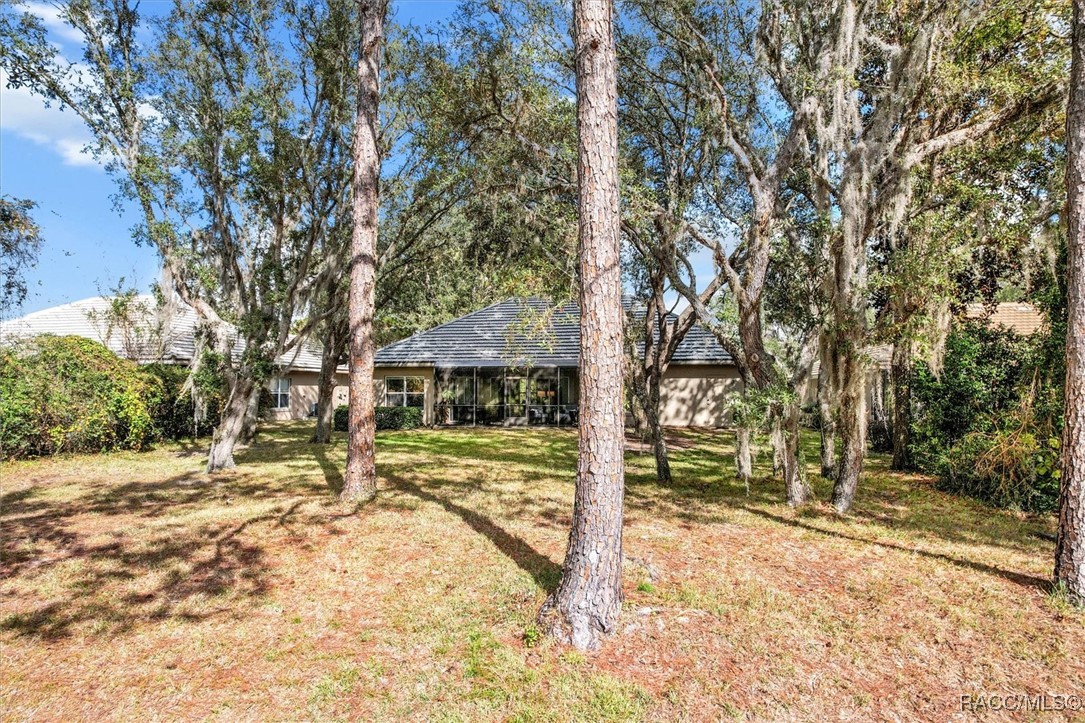 3171 N Barton Creek Circle, Lecanto, Florida image 32