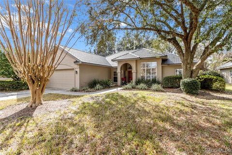3171 N Barton Creek Circle Lecanto FL 34461