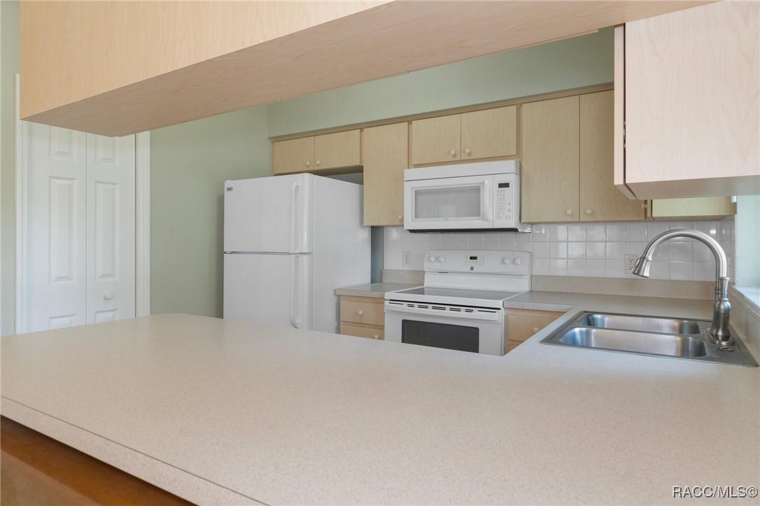 3570 E Cove Park Trail, Hernando, Florida image 14