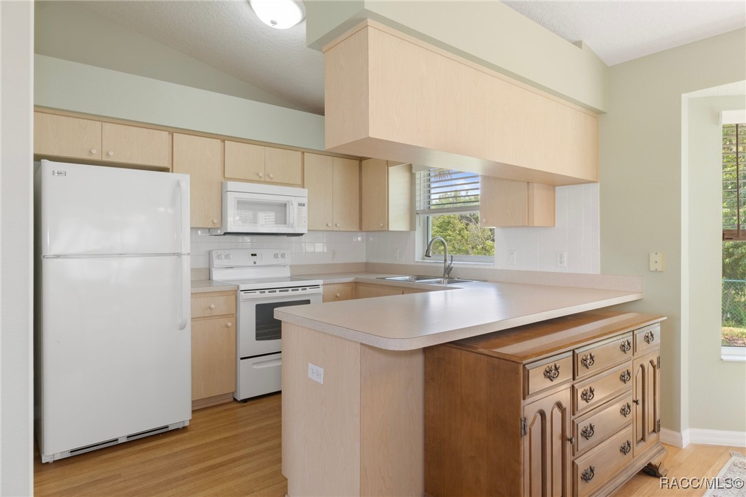 3570 E Cove Park Trail, Hernando, Florida image 13