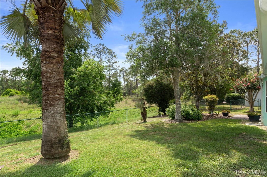 3570 E Cove Park Trail, Hernando, Florida image 37
