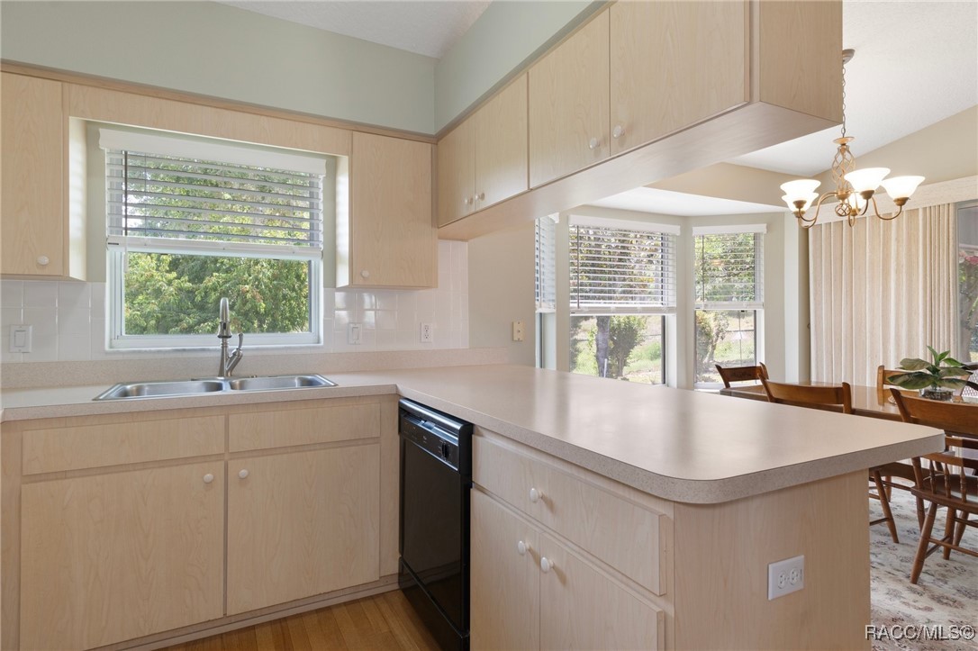 3570 E Cove Park Trail, Hernando, Florida image 17