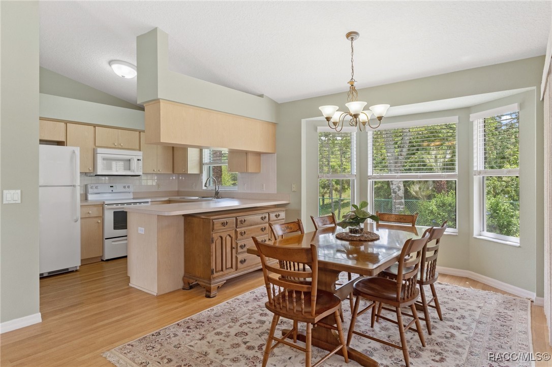 3570 E Cove Park Trail, Hernando, Florida image 10