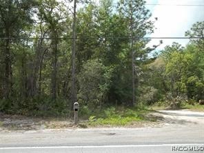 7058 W Elmhurst Street, Crystal River, Florida image 9