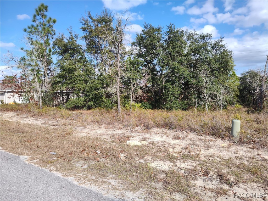 22 Lupine Street, Homosassa, Florida image 1
