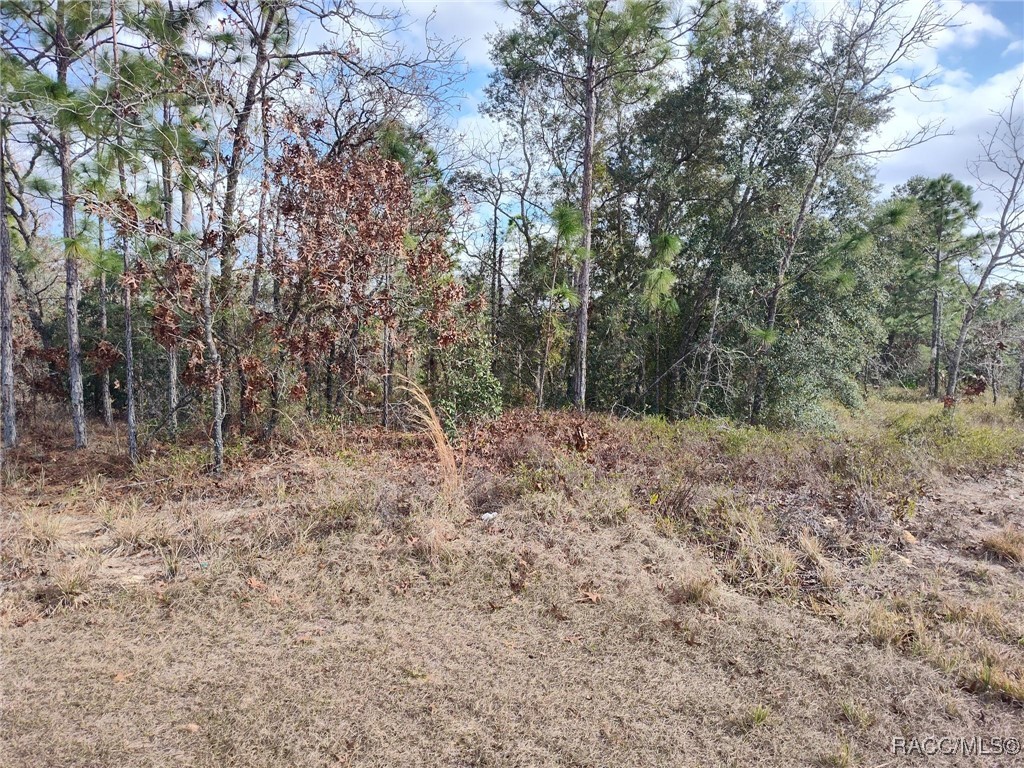 22 Lupine Street, Homosassa, Florida image 2