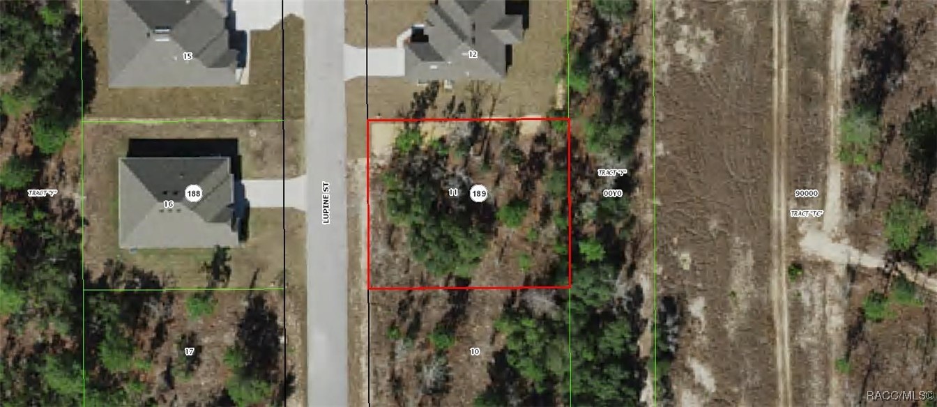 22 Lupine Street, Homosassa, Florida image 3