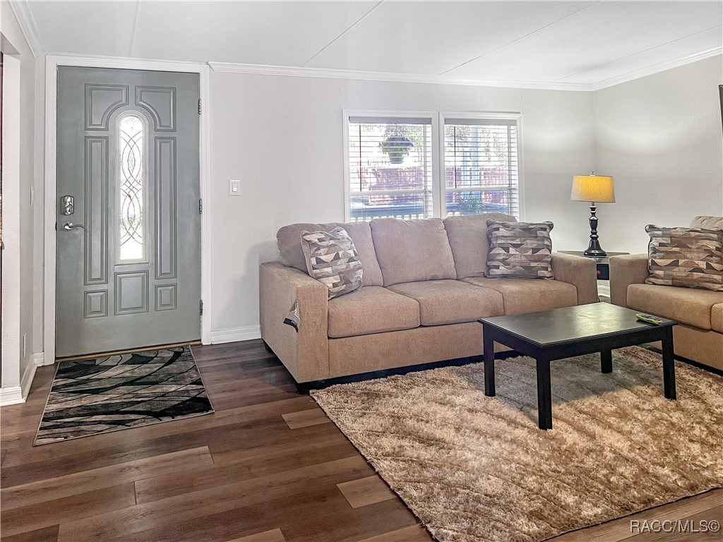 12511 Walton Avenue, New Port Richey, Florida image 10