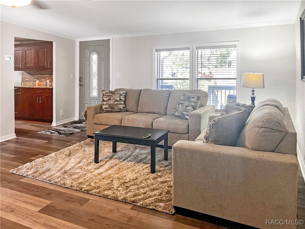 12511 Walton Avenue, New Port Richey, Florida image 11
