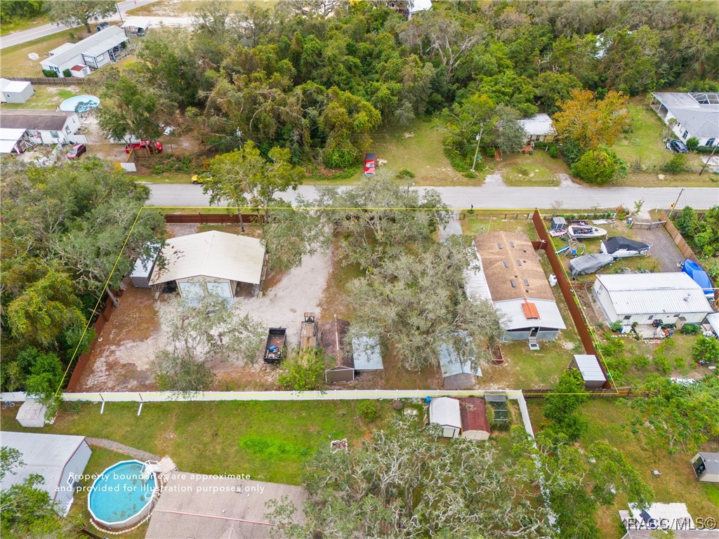 12511 Walton Avenue, New Port Richey, Florida image 2