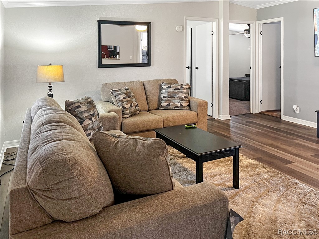 12511 Walton Avenue, New Port Richey, Florida image 12
