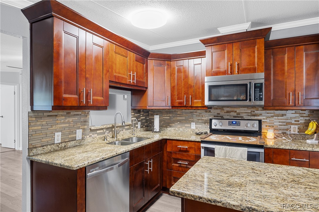 12511 Walton Avenue, New Port Richey, Florida image 16