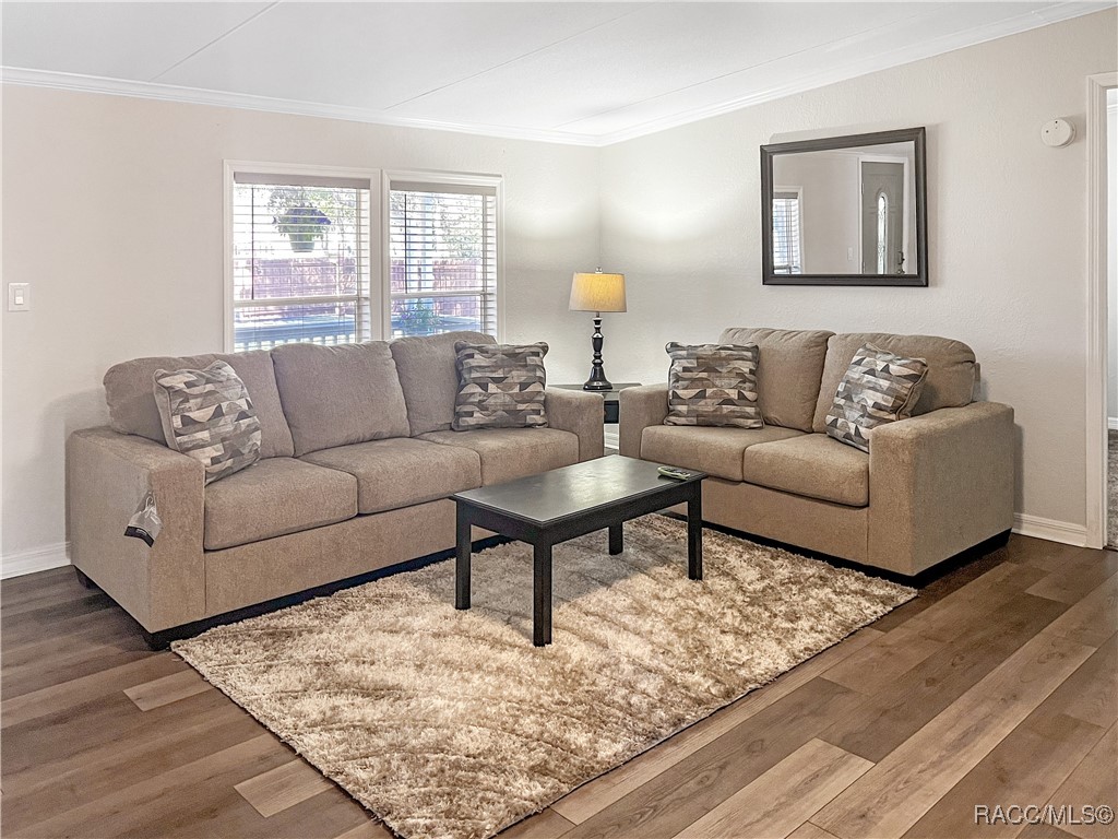 12511 Walton Avenue, New Port Richey, Florida image 13