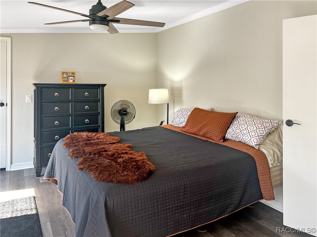 12511 Walton Avenue, New Port Richey, Florida image 21