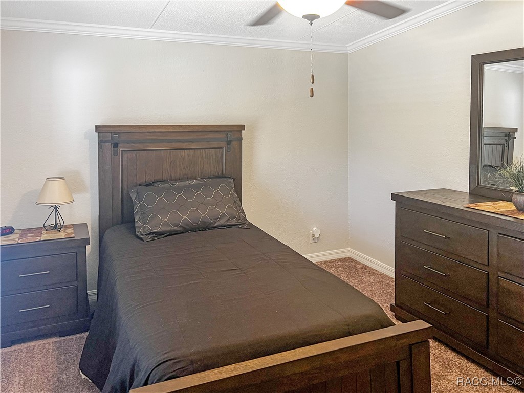 12511 Walton Avenue, New Port Richey, Florida image 28