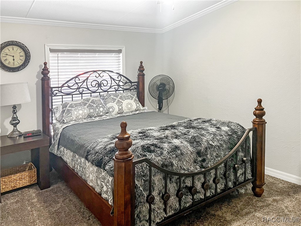 12511 Walton Avenue, New Port Richey, Florida image 30
