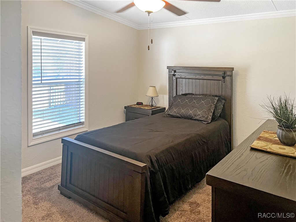 12511 Walton Avenue, New Port Richey, Florida image 27
