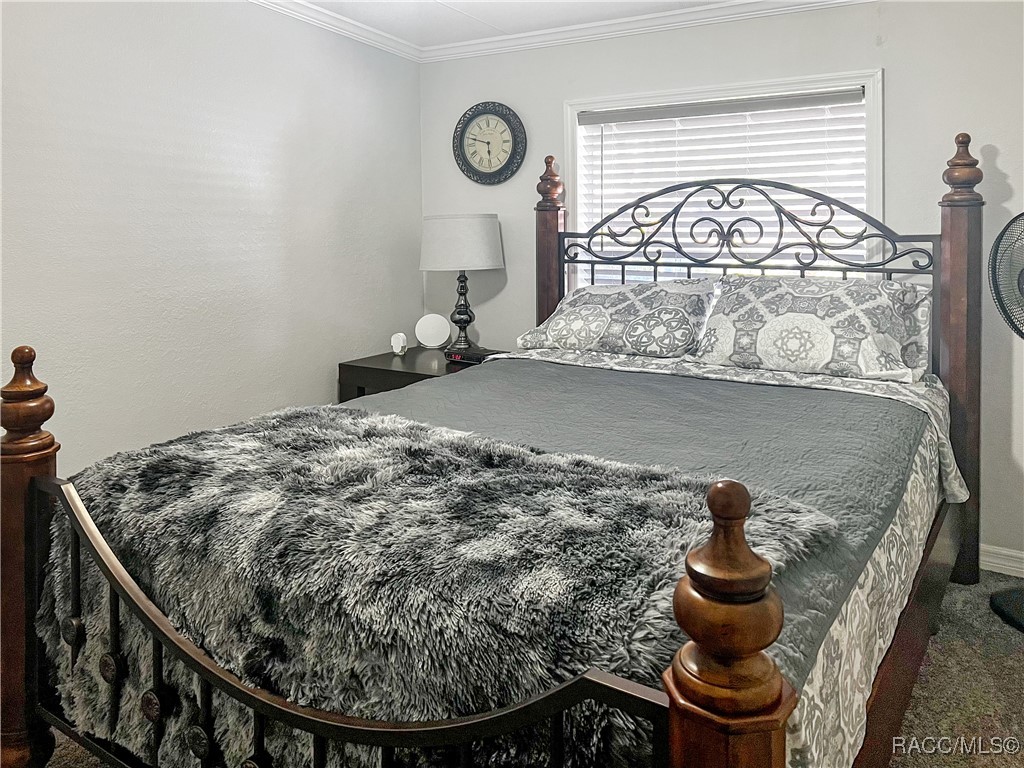12511 Walton Avenue, New Port Richey, Florida image 32