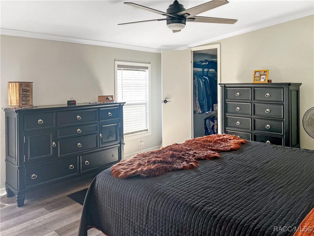 12511 Walton Avenue, New Port Richey, Florida image 22