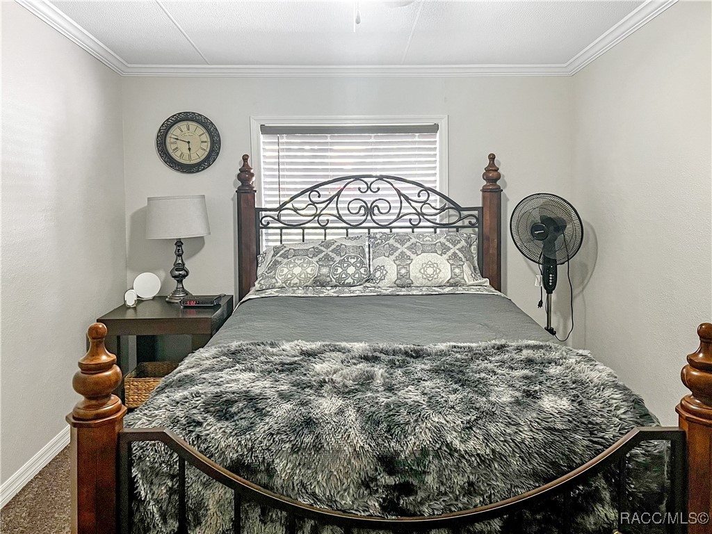 12511 Walton Avenue, New Port Richey, Florida image 31