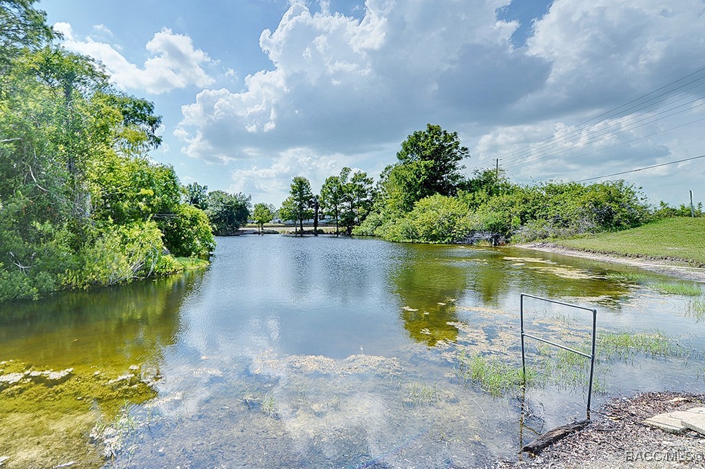 7737 Eureka Drive, Hudson, Florida image 31