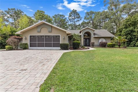 11 Sweetgum Court S, Homosassa, FL 34446 - MLS#: 843522